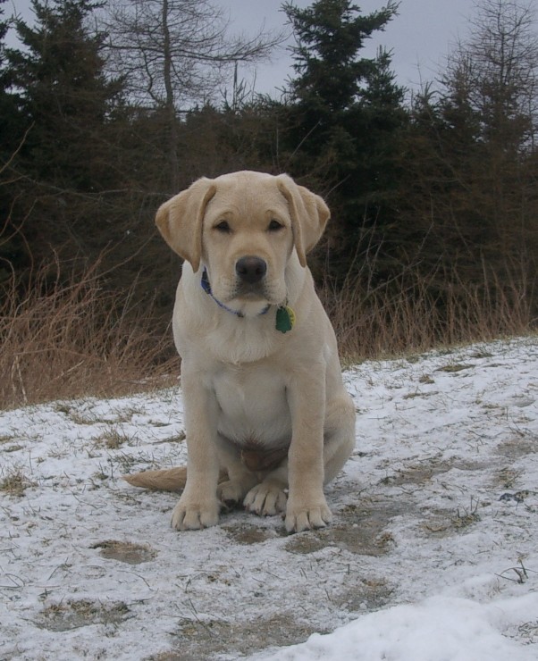 Rocky_winter 2007 036.jpg